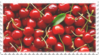 cherries