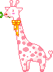 a pink girafe munching