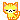 yellow cat licking